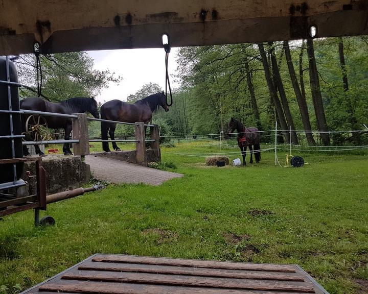 Gaststatte Pension Ferschenmuhle